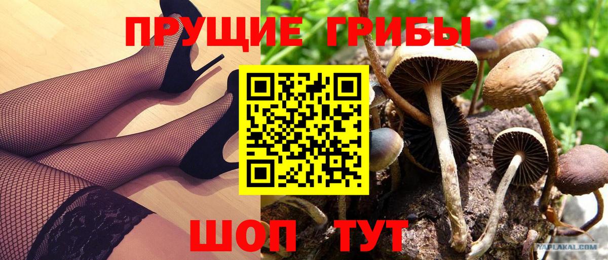 Псилоцибиновые грибы мухоморы Королёв
