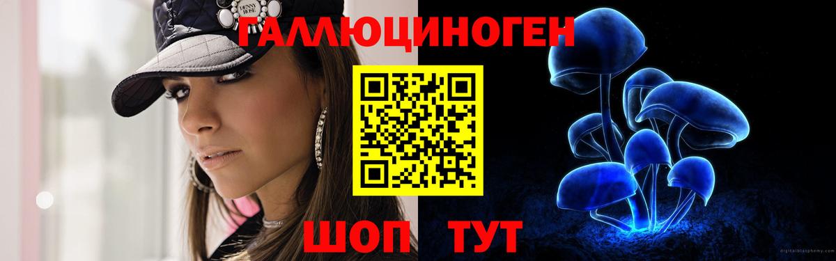 где купить наркоту  Вход с VPN  Королёв  Галлюциногенные грибы Psilocybine cubensis 
