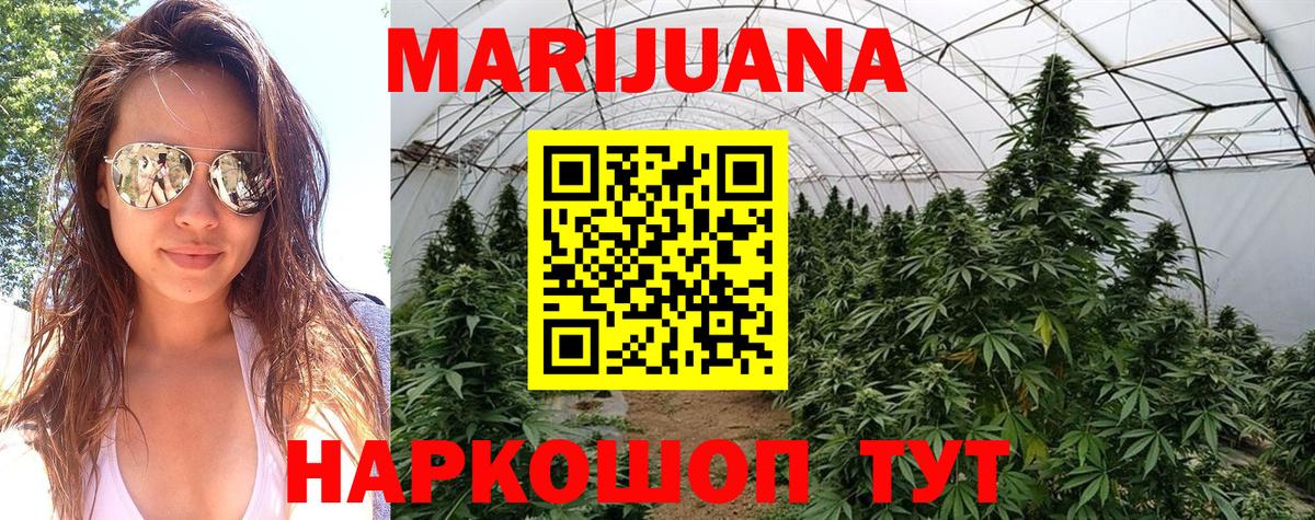 Королёв  Бошки Шишки AK-47  Каннабис семена  Бошки Шишки SATIVA & INDICA  Вход с VPN  Каннабис марихуана 